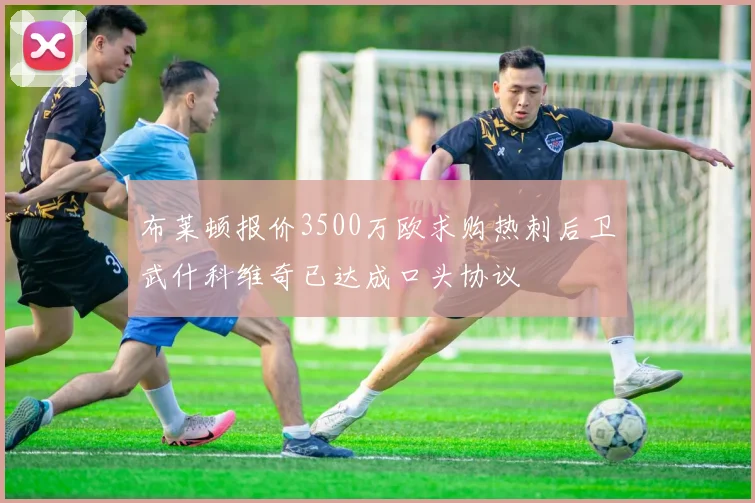 布莱顿报价3500万欧求购热刺后卫武什科维奇已达成口头协议